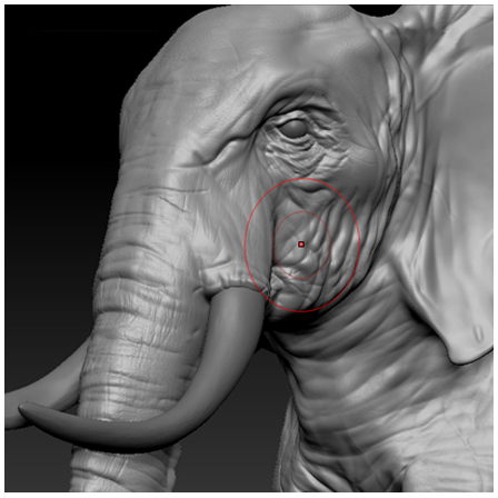 Software 3D Organico