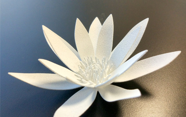 HP Jet Fusion 300/500