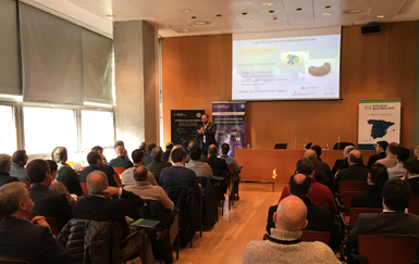 Roadshow 3D Bilbao