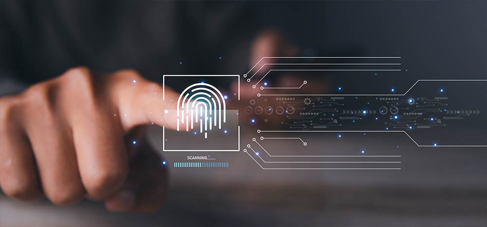 TEST DE VULNERABILIDADES