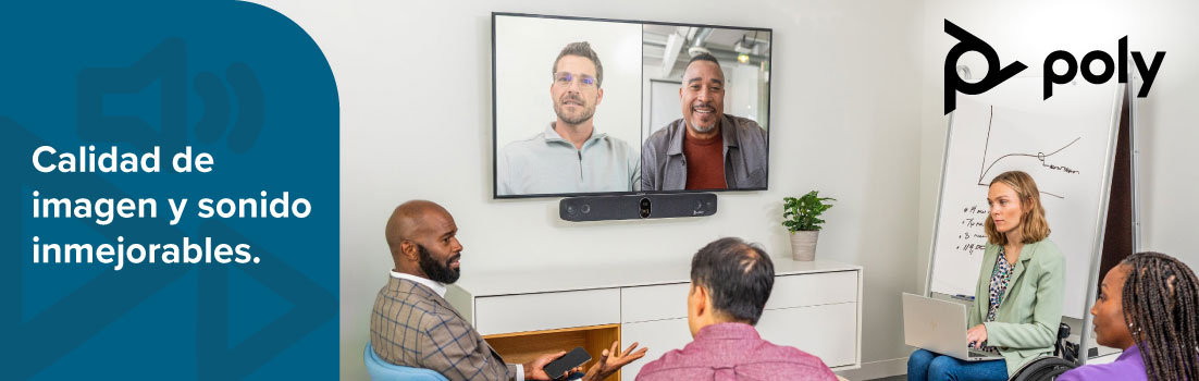 Videoconferencia Poly